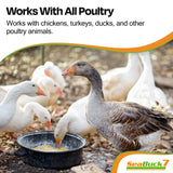 SEABUCK7 Chicken & Bird Supplement with Sea Buckthorn to Improve Egg Quality & Increase Egg Production (1-Month Supply for 20 Chickens)