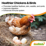 SEABUCK7 Chicken & Bird Supplement with Sea Buckthorn to Improve Egg Quality & Increase Egg Production (1-Month Supply for 20 Chickens)