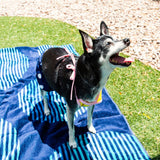 Midlee Yellow Polka Dot Dog Bikini (XX-Large)