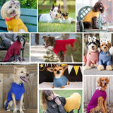 Blueberry Pet Dog Sweater in Alaskan Blue - Award Winning Medium Dog Clothes for Small Dogs, Classic No-Sleeve Wool Blend, 14" Back Length, 18"-22" Chest Girth, Cozy & Warm, Machine-Washable