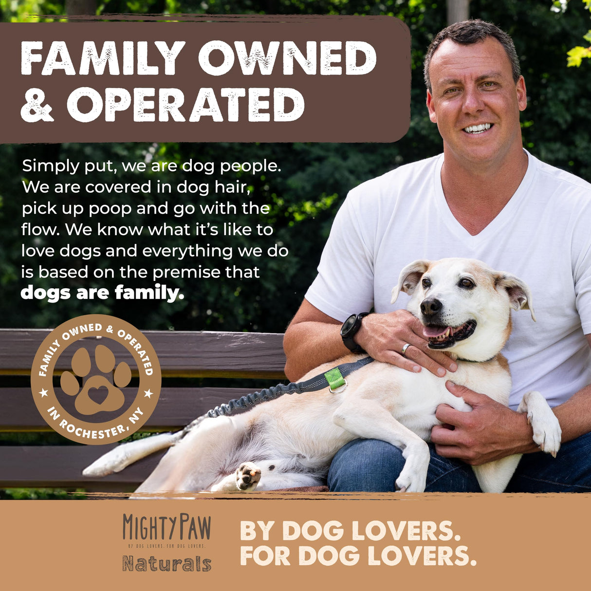 Mighty Paw Long Lasting 12" Bully Sticks for Dogs - All Natural Grass Fed Beef Chews. Lower Odor Dog Bully Sticks for Large Dogs, Medium and Small Breeds. Single Ingredient Treats