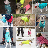 Blueberry Pet Windproof Waterproof Reflective Softshell Dog Jacket, Neon Yellow, Size 16