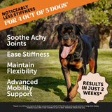 Pet Honesty Hip & Joint Health Max Strength – Dog Joint Support Chews with Glucosamine Chondroitin & Omega-3s – Joint Supplement for Dogs to Support Mobility, Flexibility & Comfort – Bacon (90 ct)