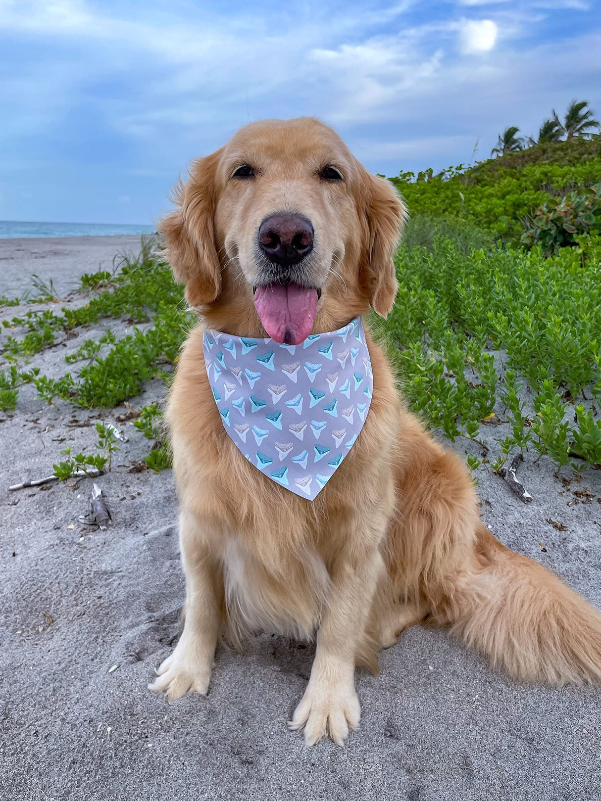 Moody Sharks Bandana (Large)