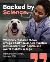 Pup Choice Omega 3 & 6 Dog Skin & Coat Chews – Wild Salmon Oil, Biotin, Zinc & Vitamin E – Supports Dry Itchy Skin, Shedding & Healthy Coat – PhD-Endorsed, Made in USA, 140 Chews, Salmon Flavor