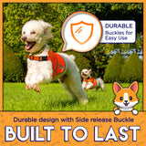Upgraded Reflective Dog Vest. Hi-Visibility, Fluorescent Blaze Orange Dog Vest Helps Protect Your Best Friend. Safeguard Your PUP from Motorists & Hunting Accidents, On or Off Leash by 4LegsFriend