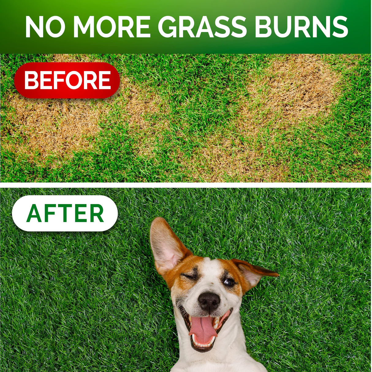 Vet Promise Grass Burn Spot Chews - Dog Urine Neutralizer for Lawn - 120 Grass Green Treats, Rocks - Pee Grass Spot Saver Caused by Dog Urine - Probiotics - Digestive Enzymes - Made in USA