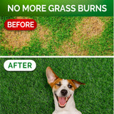 Vet Promise Grass Burn Spot Chews - Dog Urine Neutralizer for Lawn - 120 Grass Green Treats, Rocks - Pee Grass Spot Saver Caused by Dog Urine - Probiotics - Digestive Enzymes - Made in USA