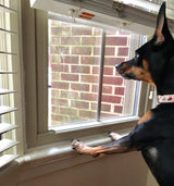 Sill Shield Clear Pet Window Sill Protector - Guards Against Dog Claws (23.5 inch Long x 4.25 inch DEEP)
