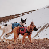 Wilderdog Dog Backpack with Built in Harness and Back-Mounted D-Ring Leash Attachment, Handle, Two Saddlebags with 4 Total Pockets, Built in Poop Bag Dispenser (Pacific Blue, Large)