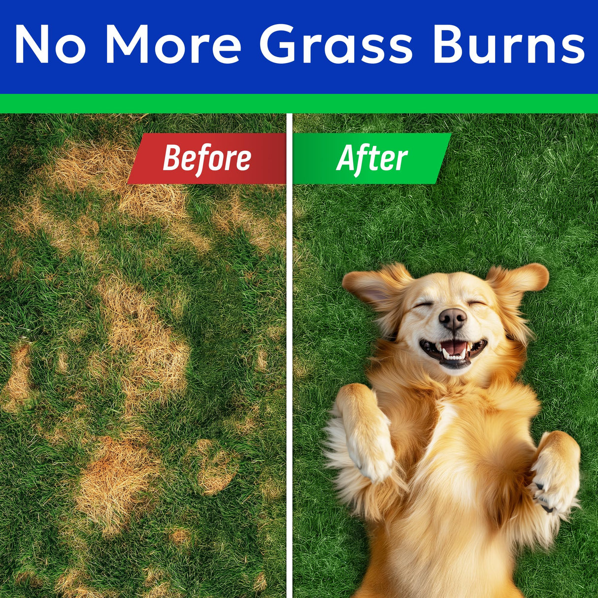 BARK&SPARK Green Grass Chews - Dog Pee Grass Spot Saver Caused by Dog Urine - Urine Neutralizer for Lawn, Gut Health Probiotics & Enzymes, Lawn Burn from Pee, Grass Burn Spot Chews Rocks
