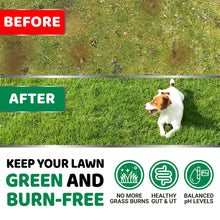 Load image into Gallery viewer, YUMA'S Dog Urine Neutralizer for Lawn - 170 Chews - Advanced Grass Green Savers for Dog Urine - Canine Pee Grass Neutralizer Supplement - Green Lawn Treats with Probiotics and Digestive Enzymes
