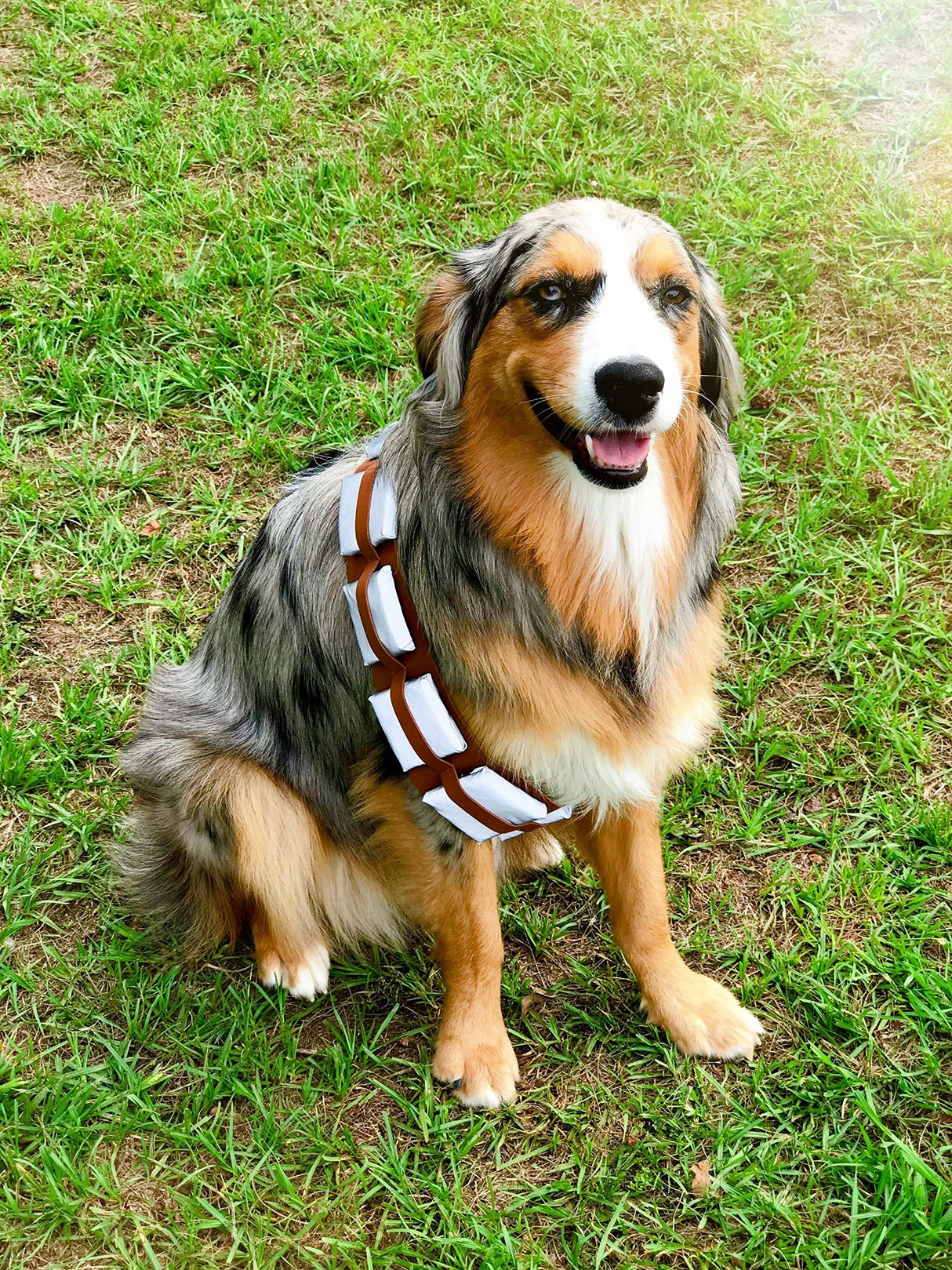 ComfyCamper Utility Belt Dog Halloween Costume Adjustable - X Large Medium Small French Lab Cosplay Christmas 2024, X-Large
