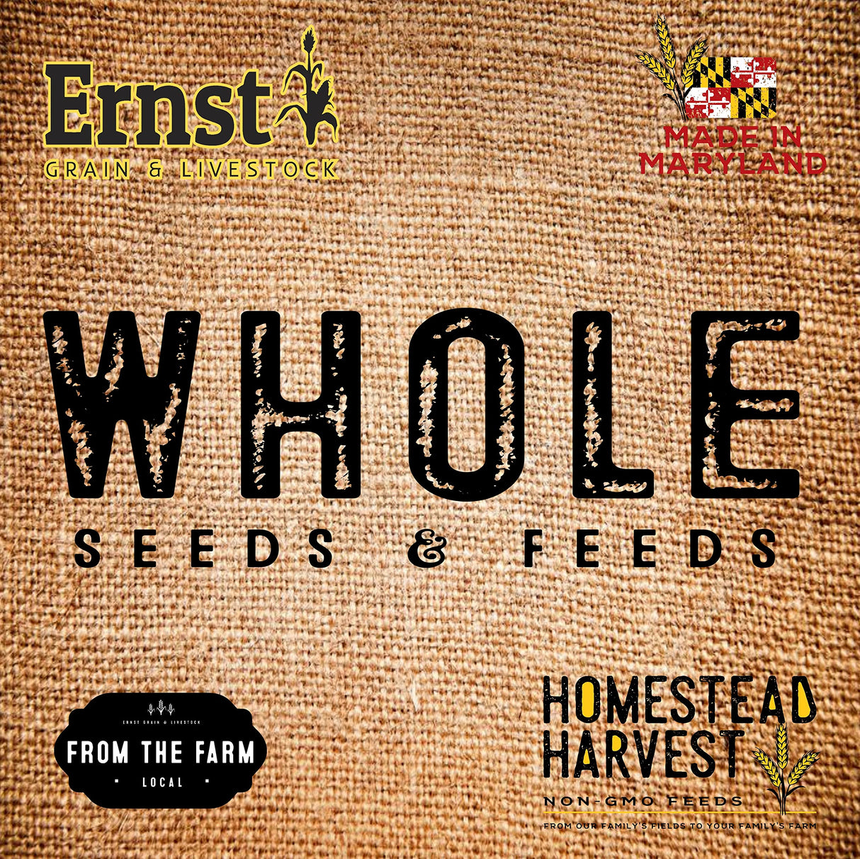 Ernst Grain & Livestock Cracked Corn, Non-GMO – Perfect Feed for Ducks, Squirrels, Chickens, Ducks, Deer, Rabbits, Geese, and More! (46 lb)