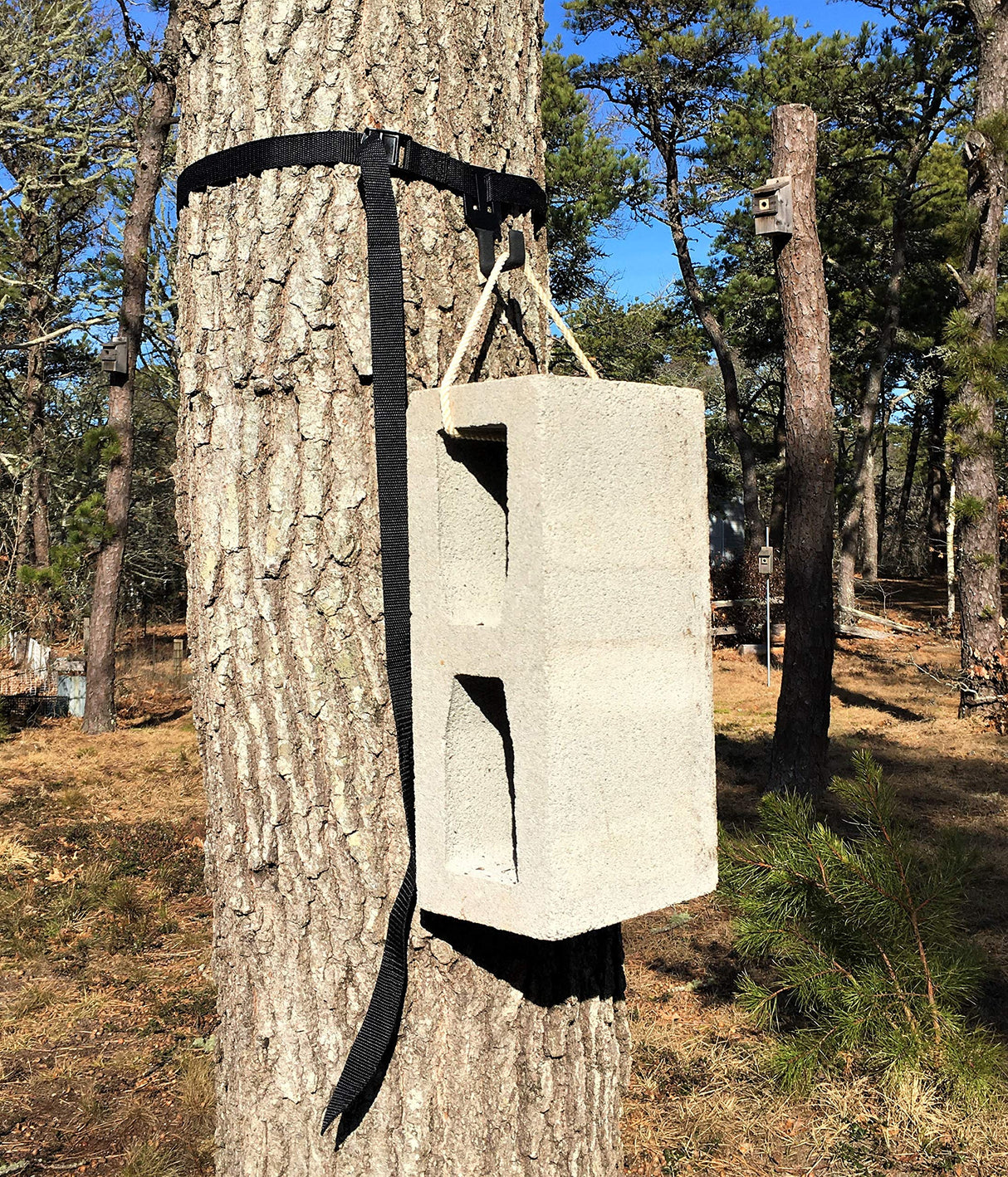Swarm Trap Hanger - Hang Your Swarm Trap Quickly and with Confidence - NO More POUNDING in Nails! -Tree Friendly!