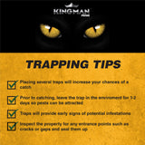 KINGMAN PRIME Mouse Trap Rat Trap Glue Trap/Board (Large Size) (2 Pack / 4 Traps) Rodent Trap Safe Easy Non-Toxic with Connectors