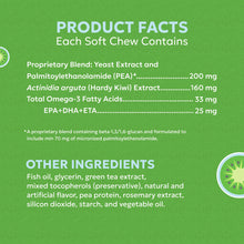 Load image into Gallery viewer, Nutramax Dermaquin Skin Support Supplement for Small to Medium Dogs and Cats, Supports Healthy Response to Allergens, with Hardy Kiwi, Omega-3s, and More, Tasty Soft Chews, 60 Count
