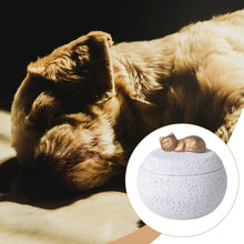 Load image into Gallery viewer, Pet Urn Cremation Memorial Urn Pets Supplies Keeping Precious Memories Urn Box for Burial Final Comforting Resting Place Funeral
