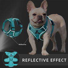 Load image into Gallery viewer, Cat Harness Vest Adjustable Reflective Collars Cute Walking Lead Leash Set Harnesses Necklace For Small Dogs Cat Accessories
