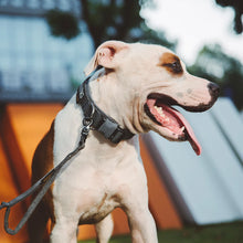 Load image into Gallery viewer, Dog Collar Durable Tactical Pet Collar  Adjustable Nylon Collars Medium Large Dog German Shepherd Training Collar s Accessories
