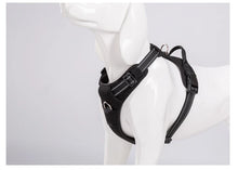 Load image into Gallery viewer, Truelove Pet Harness Big Medium Dog Chest Strap Explosion-proof Teddy Small dog Golden Retriever dog Designed for Outdoor Safety
