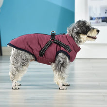 Load image into Gallery viewer, Winter Dog Clothes For Small Dogs Warm Fleece Large Dog Jacket Waterproof Pet Coat With Harness Chihuahua  labrador Clothing
