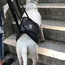 Load image into Gallery viewer, Dog Harnesses Pet Lifting Support Vest Old Injured Dog Walking Dog Vest Stair Support Adjustable Dog Sling Back Legs Hip Support
