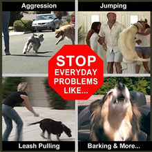 Load image into Gallery viewer, Dog Collar Welded Link Chain Pet Non-slip Pinch Adjustable Large Size Training Accessories Collars For Big Dogs
