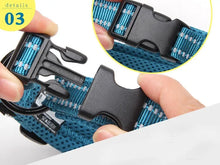 Load image into Gallery viewer, Truelove Pet Dog Collar Nylon Adjustable Webbing Padded Soft Reflective Durable Heavy Duty Training Custom Luxury Cat TLC5011
