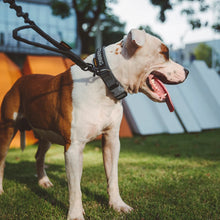 Load image into Gallery viewer, Dog Collar Durable Tactical Pet Collar  Adjustable Nylon Collars Medium Large Dog German Shepherd Training Collar s Accessories
