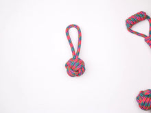 Load image into Gallery viewer, 12Pcs Large Dog Toy Sets Chew Rope Toys for Dog Chewing Toys for Dog Outdoor Teeth Clean Toy for Big Dogs Juguete para Perros
