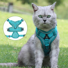 Load image into Gallery viewer, Cat Harness Vest Adjustable Reflective Collars Cute Walking Lead Leash Set Harnesses Necklace For Small Dogs Cat Accessories
