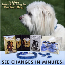 Load image into Gallery viewer, Dog Collar Welded Link Chain Pet Non-slip Pinch Adjustable Large Size Training Accessories Collars For Big Dogs
