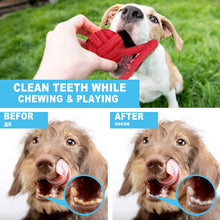 Load image into Gallery viewer, 12Pcs Large Dog Toy Sets Chew Rope Toys for Dog Chewing Toys for Dog Outdoor Teeth Clean Toy for Big Dogs Juguete para Perros
