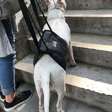 Load image into Gallery viewer, Dog Harnesses Pet Lifting Support Vest Old Injured Dog Walking Dog Vest Stair Support Adjustable Dog Sling Back Legs Hip Support
