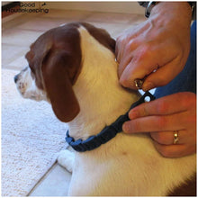 Load image into Gallery viewer, Dog Collar Welded Link Chain Pet Non-slip Pinch Adjustable Large Size Training Accessories Collars For Big Dogs
