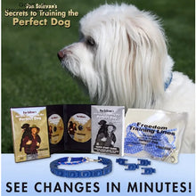 Load image into Gallery viewer, Dog Collar Welded Link Chain Pet Non-slip Pinch Adjustable Large Size Training Accessories Collars For Big Dogs
