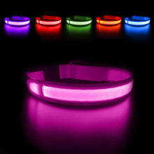 Load image into Gallery viewer, MASBRILL LED Dog Collar Luminous Pet Supplies Dog Collar Waterpoof Safety Glow Necklace Flashing Lighting Up Collars Accessories
