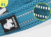 Load image into Gallery viewer, Truelove Pet Dog Collar Nylon Adjustable Webbing Padded Soft Reflective Durable Heavy Duty Training Custom Luxury Cat TLC5011
