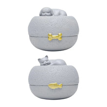 Load image into Gallery viewer, Pet Urn Cremation Memorial Urn Pets Supplies Keeping Precious Memories Urn Box for Burial Final Comforting Resting Place Funeral
