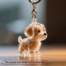 Load image into Gallery viewer, Dogs Hair Storage Pendant Cute Keychain Bag Pendant Couple Car Key Chains Jewelry Souvenir Collection Gift Decor Dog Accessories
