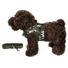 Load image into Gallery viewer, Dog Harness Leash Set Cute Army Small Dog Harness Cats Walking Chest Vest Canvas Pets Puppy Harness For Autumn Winter Spring
