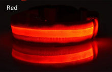 Load image into Gallery viewer, Dog Collar LED Light Electronic Night Safety Anti-Lost Nylon Adjustable Luminous Glowing Collar For Dogs Cats Pet Products Xs-XL
