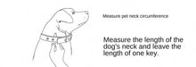 Load image into Gallery viewer, Dog Collar Pu Leather Collar Leash Pet Dog Collar Pet Supplies Cat Collar with Bells Dog Collar Chihuahua Dog Collar Cat Collar
