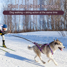 Load image into Gallery viewer, Pulling Harness For Dogs Puppy Harness Adjustable Reflective Dog Harness Outdoor Dog Rope Flexible Dog Training Rope For
