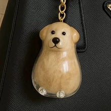 Load image into Gallery viewer, Clear Puppy Hair Memorial Pet&#39;s Dog Fur Container DIY Pendant Keychain Decor Pet Lovers Home Display Gifts
