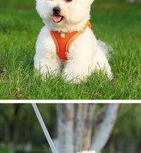Load image into Gallery viewer, Harness for a Dog Harness Guard Harnesses for Dogs Pet Puppy Big the Small Breed Medium Anatomical Large Breeds Goods Product
