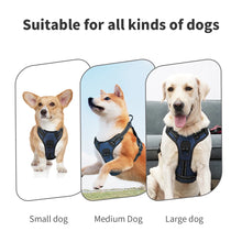 Load image into Gallery viewer, MASBRILL Dog Harness No Pull Nylon Adjustable Reflective Dog Vest Harness 2 Metal Leash Hooks Easy Control Handle Walking
