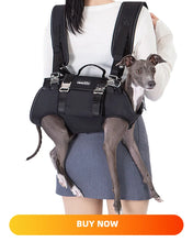 Load image into Gallery viewer, Dog Carrier Bag Breathable Cat Bags Portable Mesh Carrier Bags for Small Dogs Foldable Cats Handbag Travel Pet Bag Transport Bag
