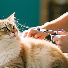 Load image into Gallery viewer, Curved Dog Grooming Scissors Curved Dog Trimmer Trimming Hair Scissors Safety Pet Tool With Round Tips Professional Grooming
